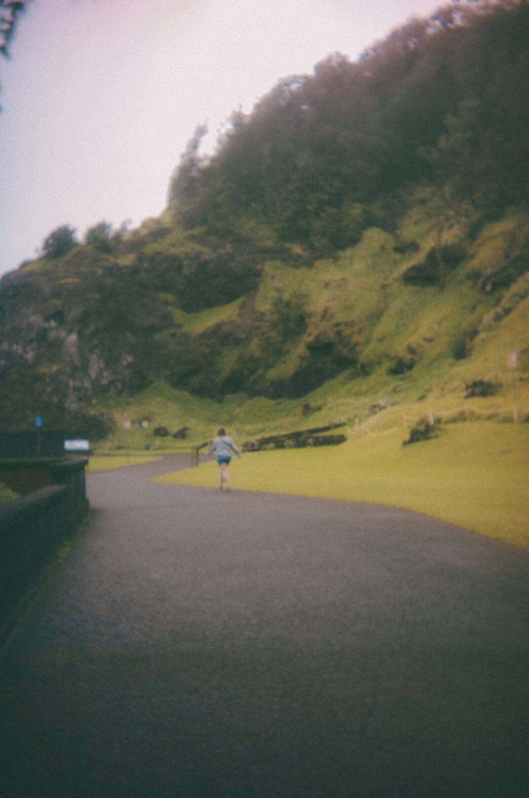 person walking in nature path